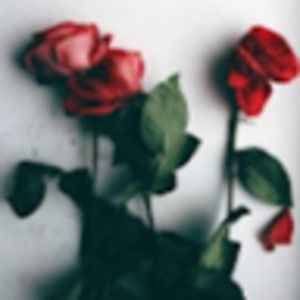 Meet your Posher, Aileen